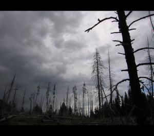 Jenny Lake, WY 2006   